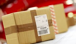 DPD CLASSIC Paket