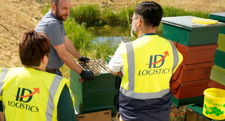 Honigbienen bei ID Logistics Germany