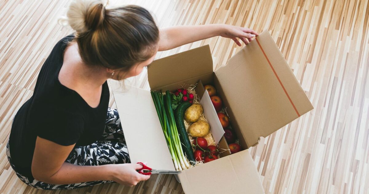 Paketzustellung Immer Erreichbar Eurotransport