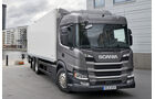 Scania P/G/L (Leserwahl 2019)