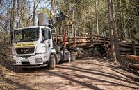 Truckjobs Fahrer von Rundholz-Transporter